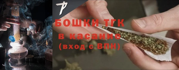 прущие грибы Михайловка