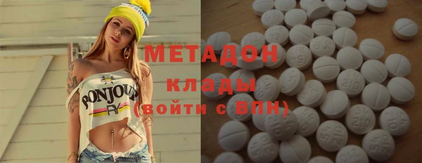 прущие грибы Михайловка