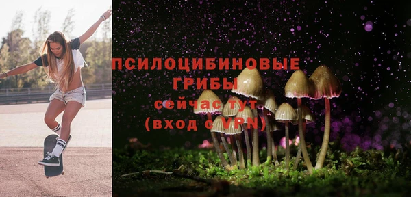 кокс Михайлов