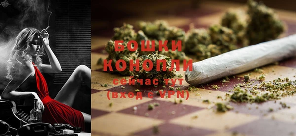 прущие грибы Михайловка