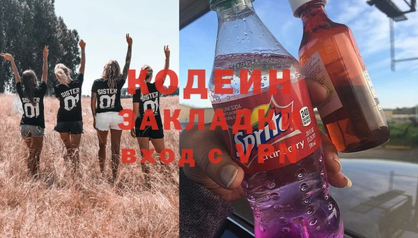 прущие грибы Михайловка