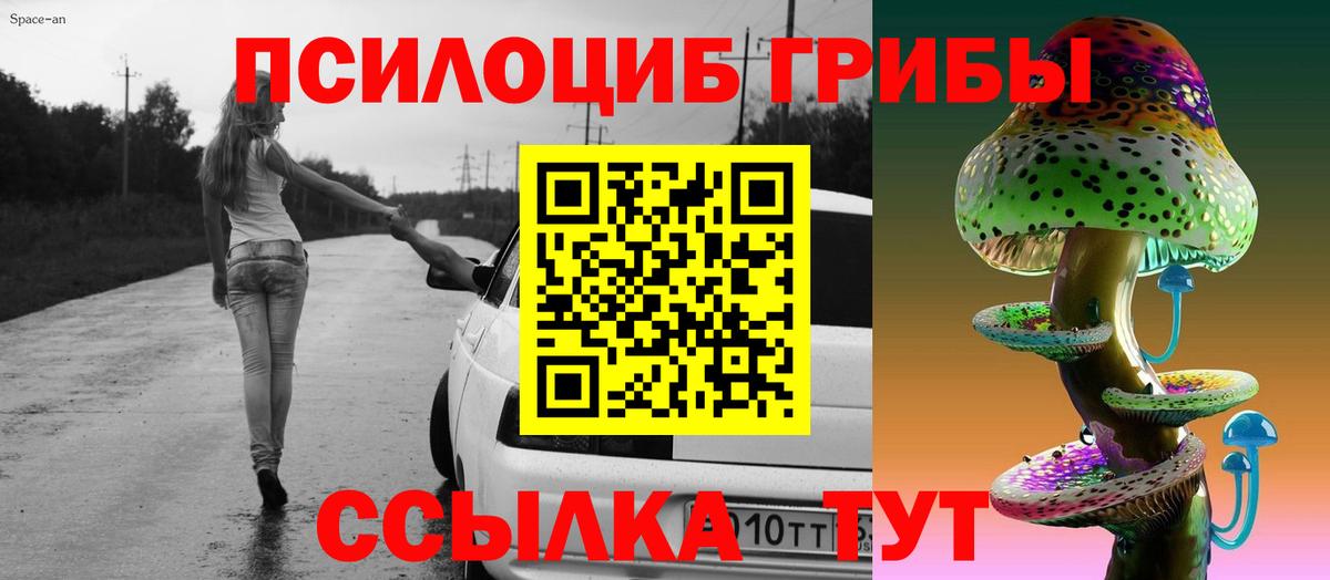 Галлюциногенные грибы Psilocybine cubensis Советский