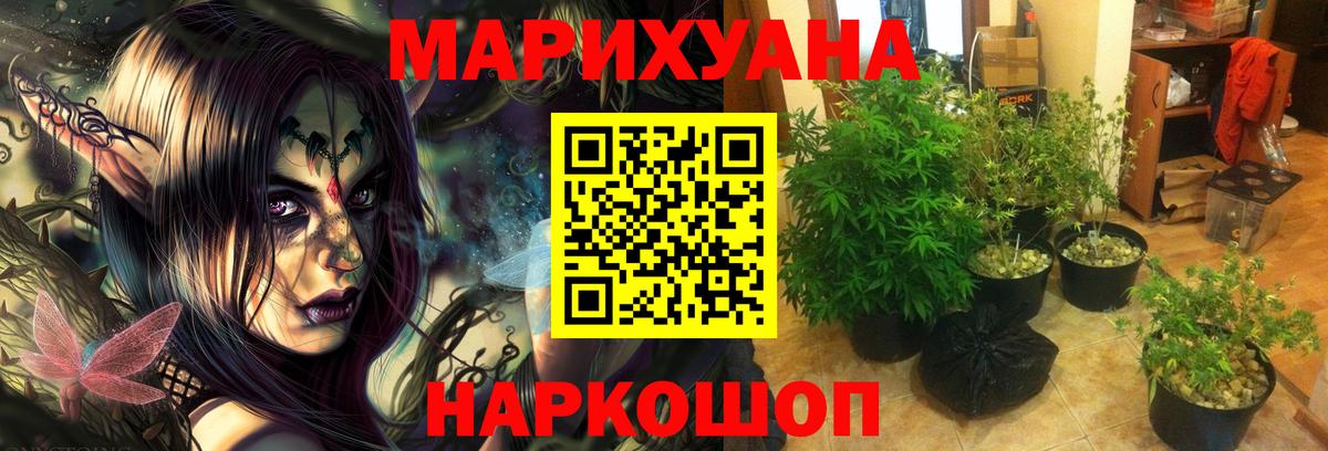 Шишки марихуана ГИДРОПОН Советский